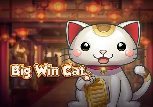 Big Win Cat sociale casino game